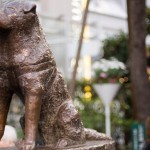 Hachiko
