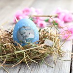 11130184_881580005238934_7861872722165196780_n