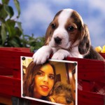 14168468571730629920