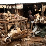 lugaresterrorificos33