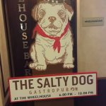 the salty dog cruceros princess