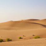 abu-dhabi-3478982_960_720