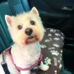 d35a357b-4f5a-4301-bdd9-2dd74420a4d2