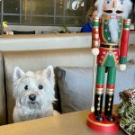 2022-12-22_14-13-14_776