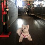 2022-12-22_15-20-11_000