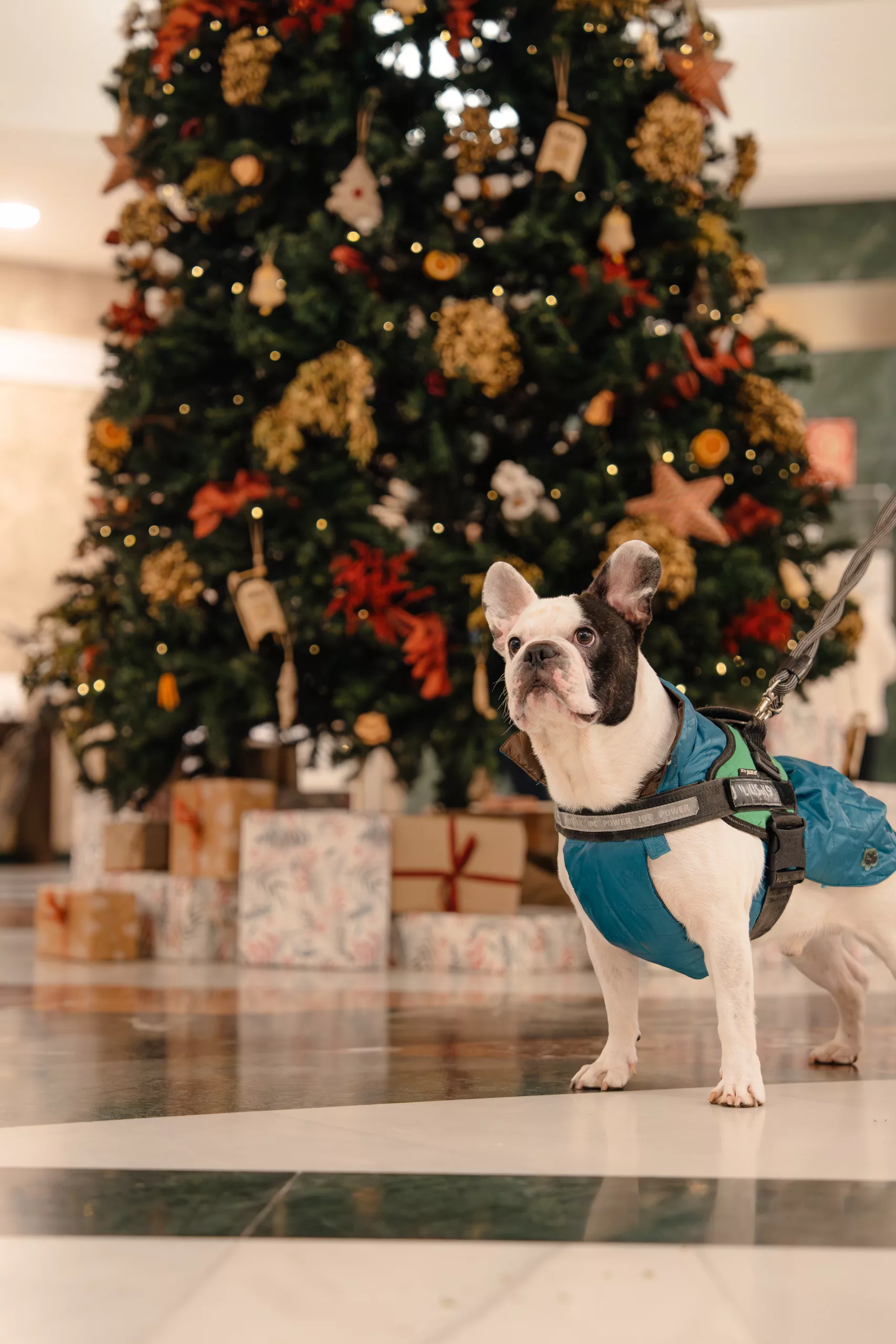 Wellness Castilla Termal Solares