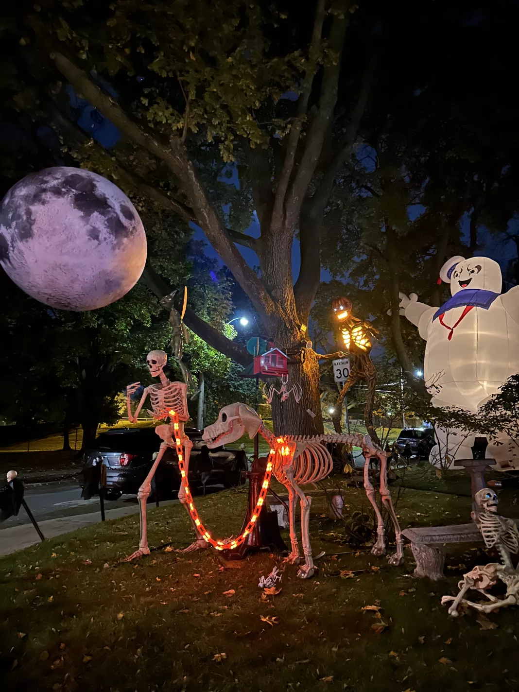 Mi primer Halloween en Canadá; Cuando la muerte se decora y la vida se celebra.