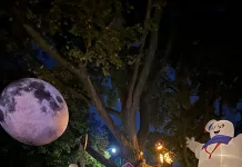 Mi primer Halloween en Canadá; Cuando la muerte se decora y la vida se celebra.