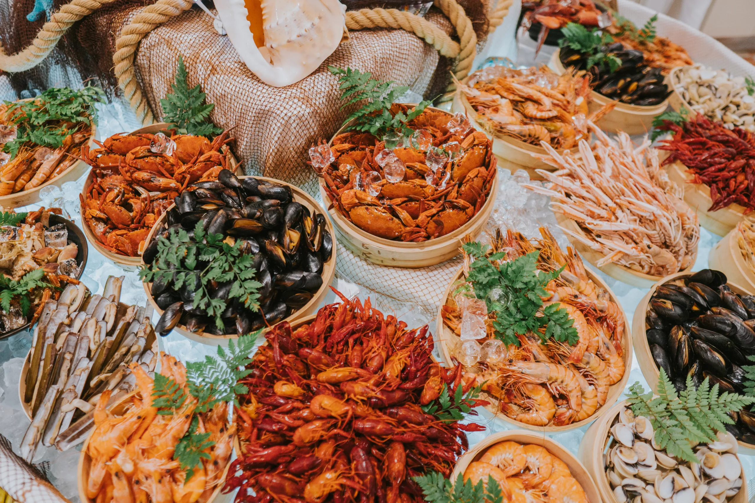 Navidad Landmar Hotels